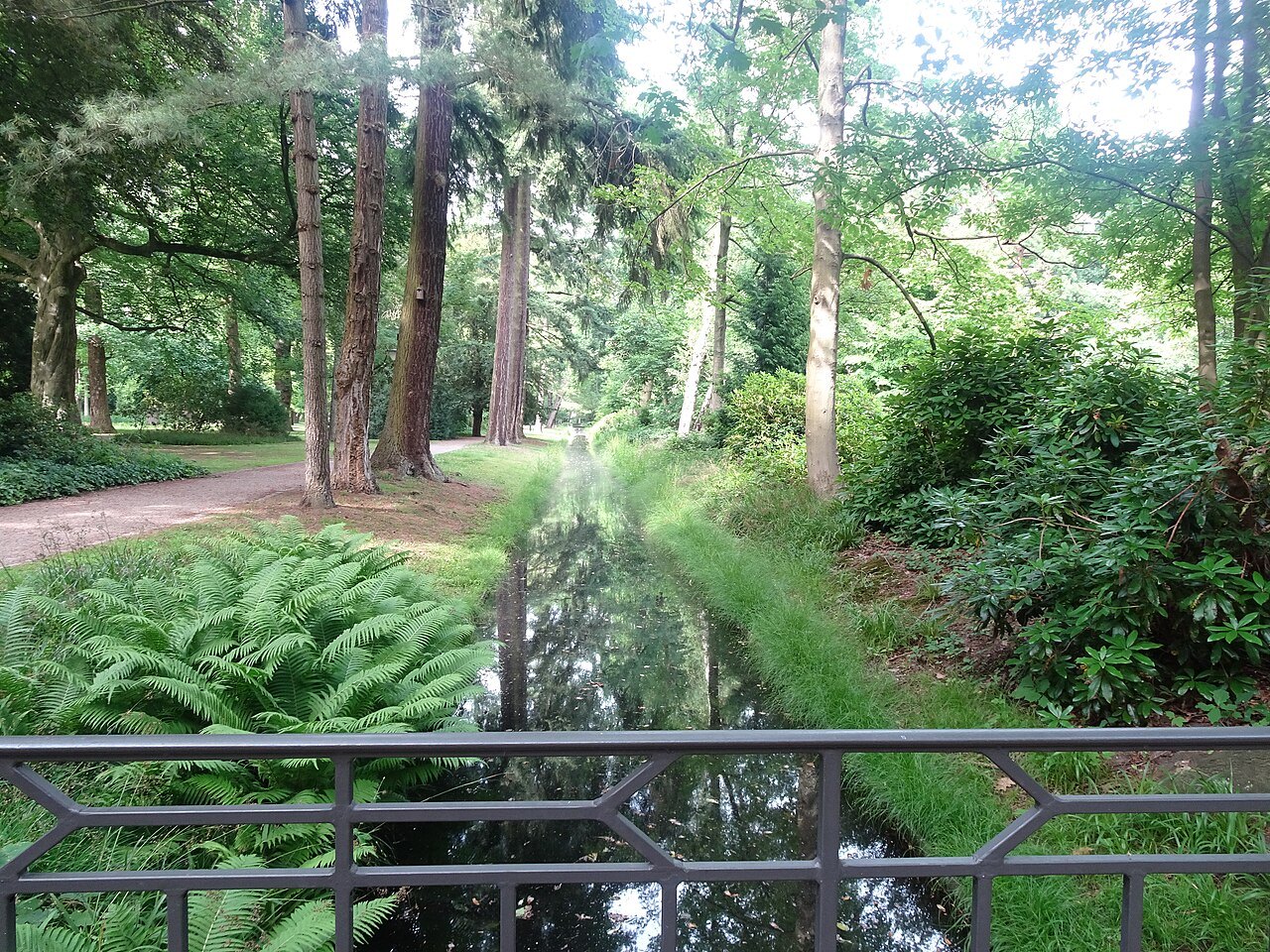 Trees and a watercourse in the Forstgarten.