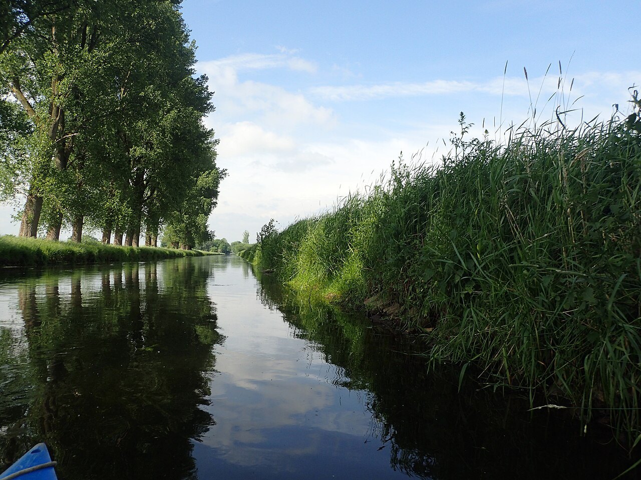 The Niers near Weeze.