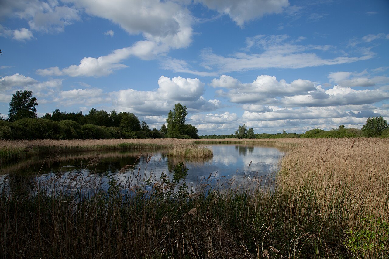 Kranenburger Bruch nature reserve.