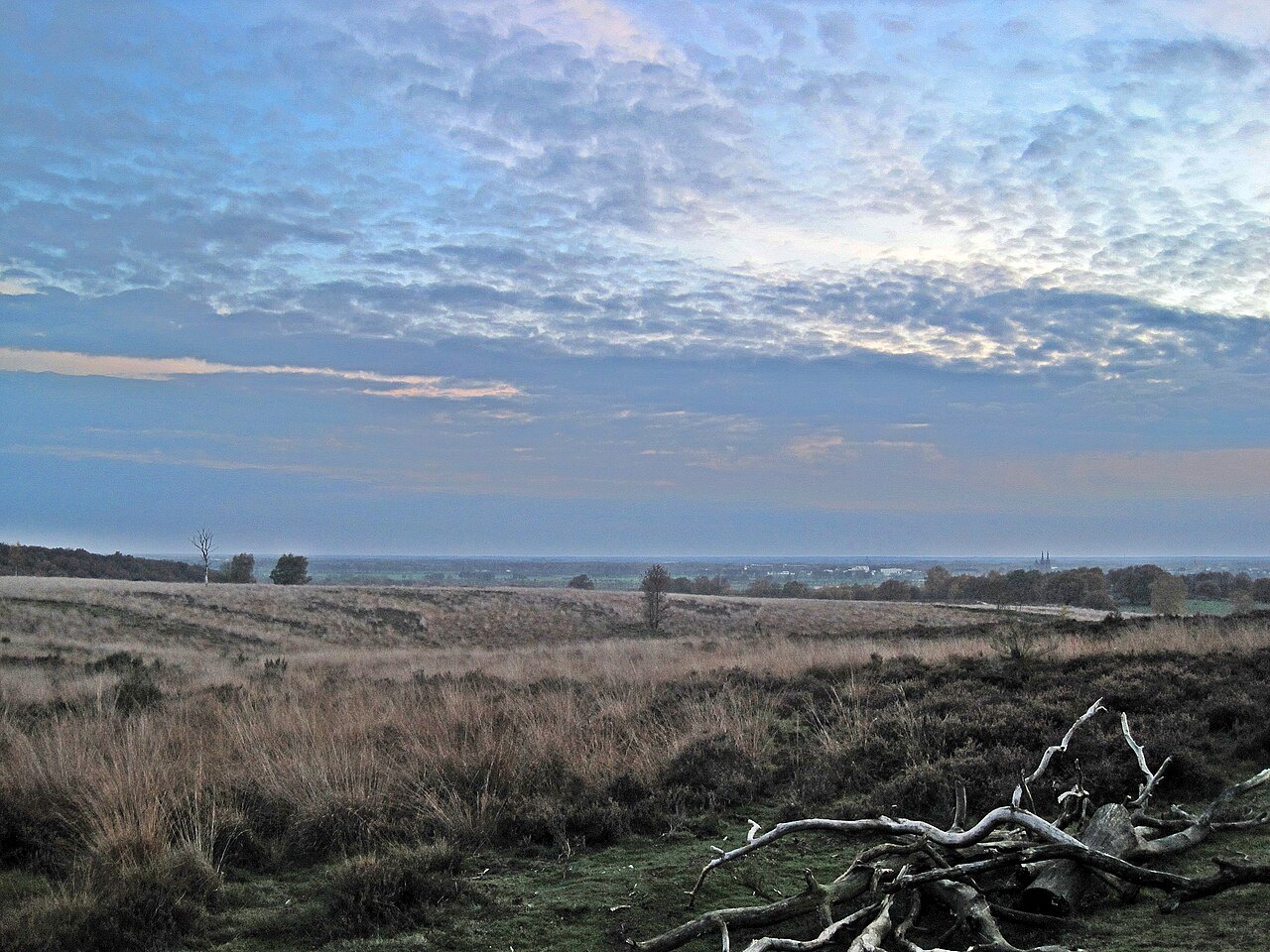 A view from Mookerheide towards Cuijk.