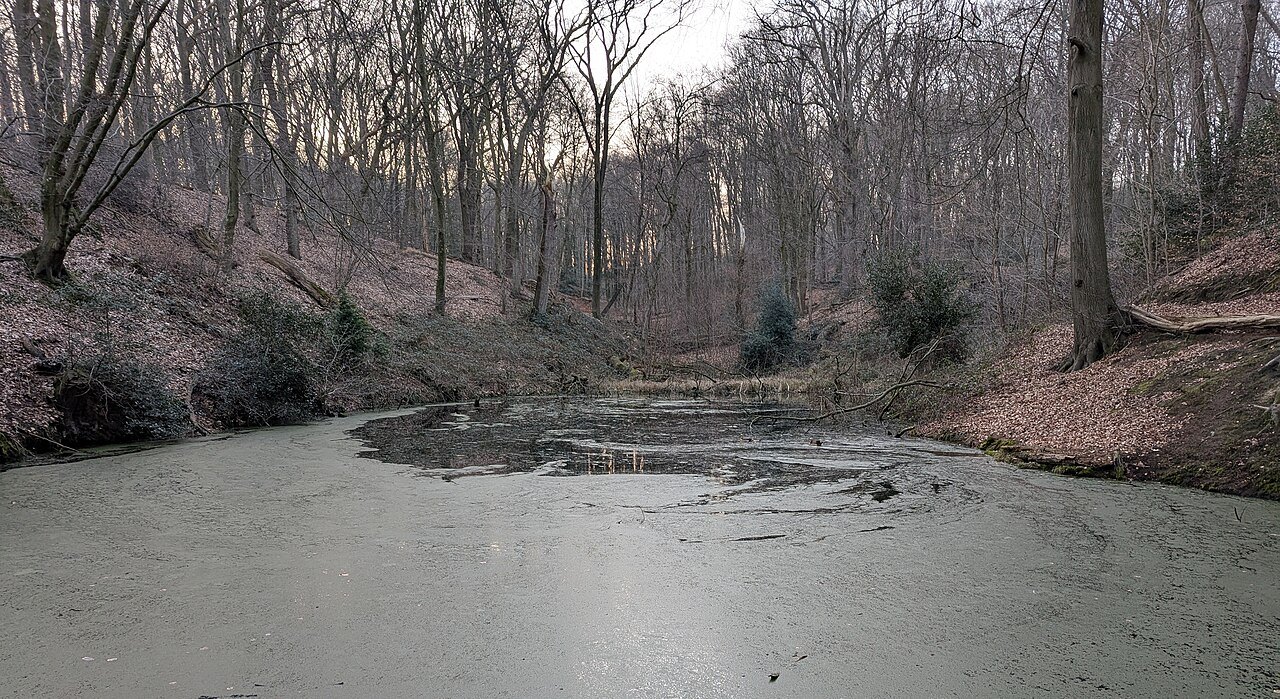 The lower pond in Groenewater, Sint-Jansberg.