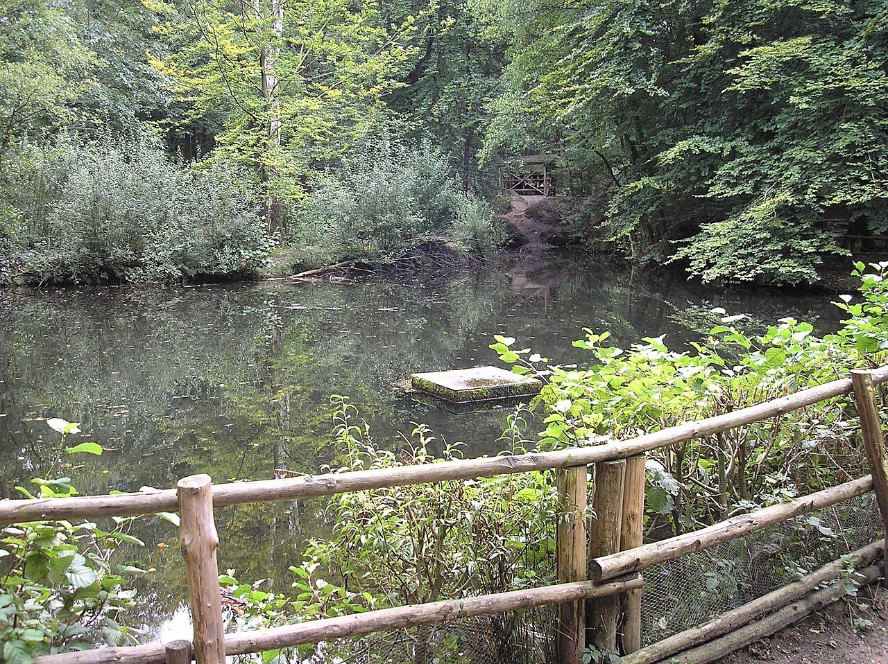 A pond at Sieben Quellen.