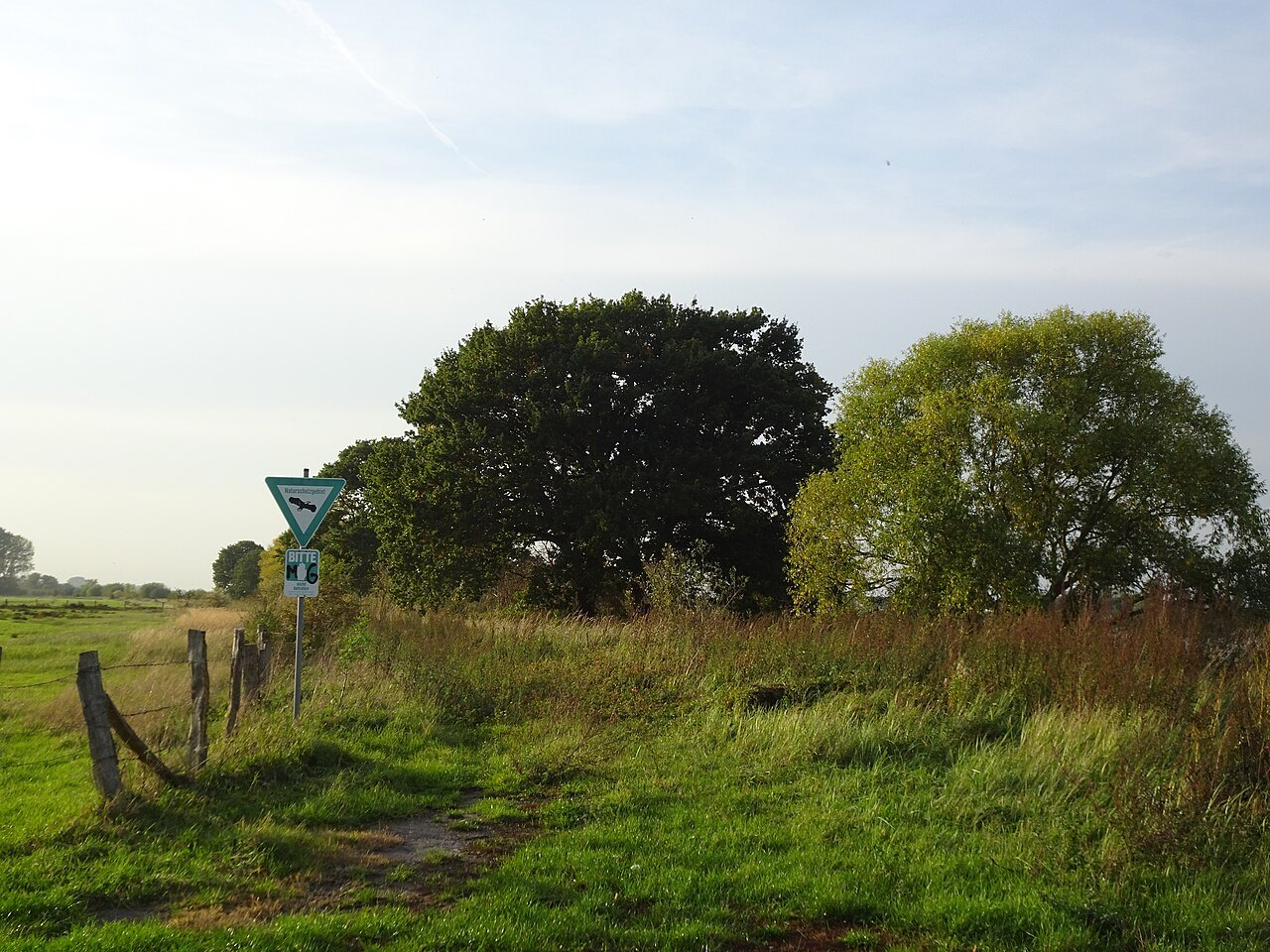 Floodplain landscape in Salmorth nature reserve.