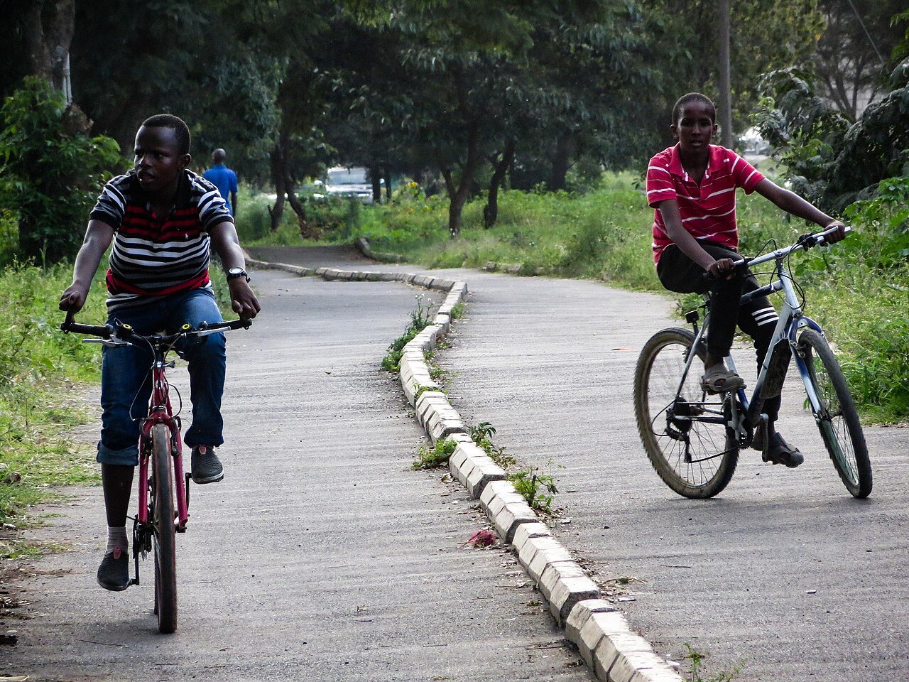 Children cycling on a separate path, illustrating route selection.
