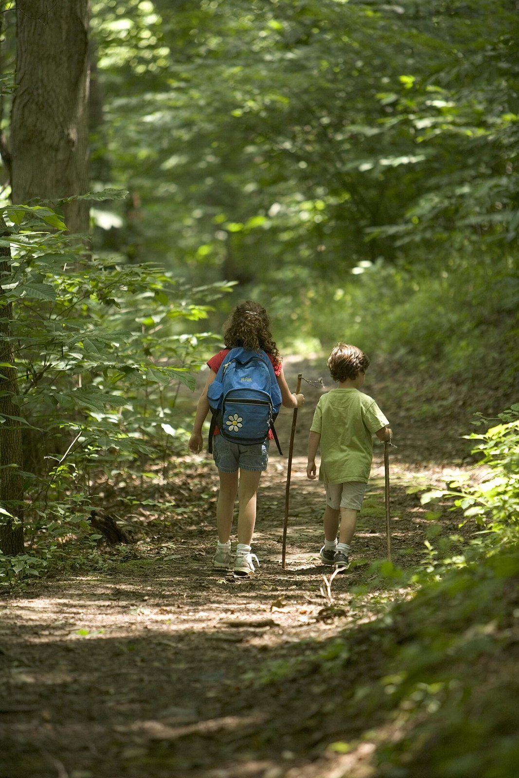 Children on a woodland path, illustrating a walk together.