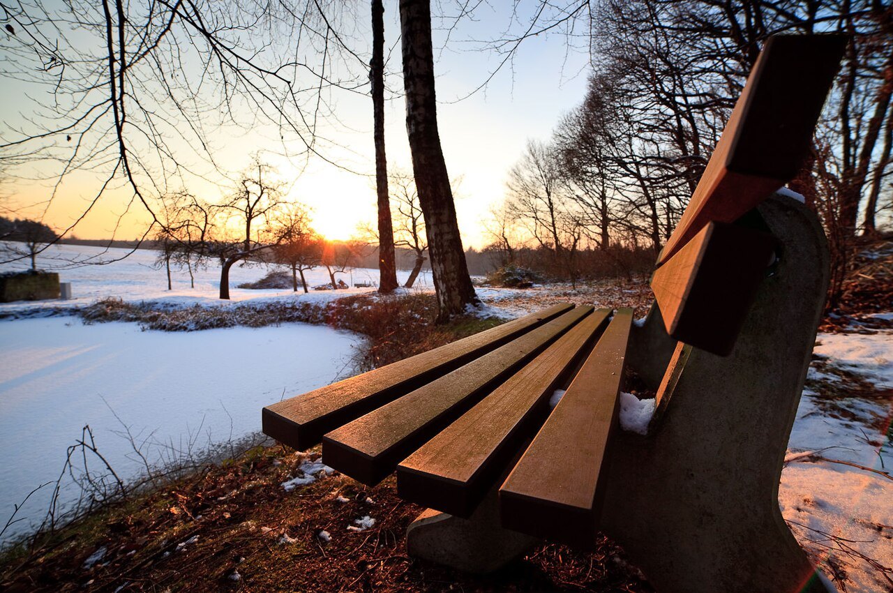 A bench in a winter landscape on the Lower Rhine.