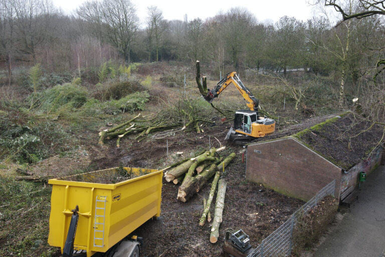 Rodungsarbeiten in der Gocher Bucht